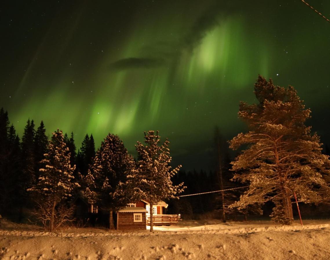 Velfjord Camping & Hytter ภายนอก รูปภาพ