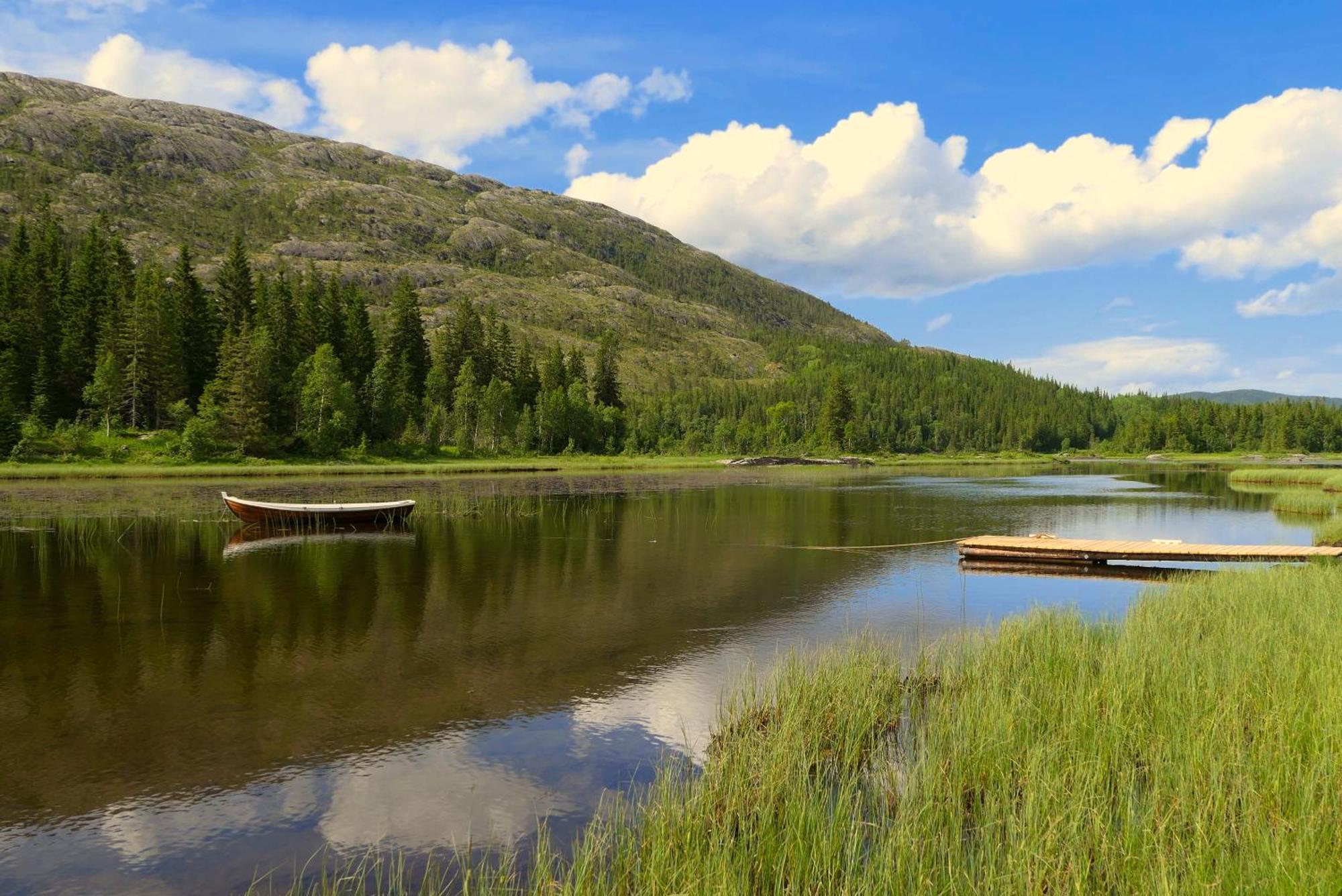 Velfjord Camping & Hytter ภายนอก รูปภาพ