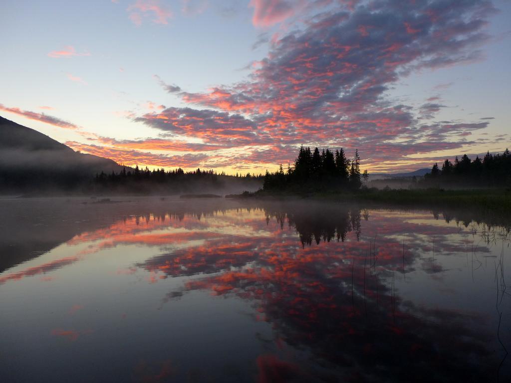 Velfjord Camping & Hytter ภายนอก รูปภาพ