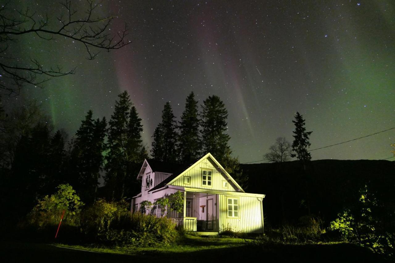Velfjord Camping & Hytter ภายนอก รูปภาพ