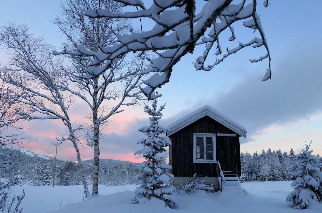 Velfjord Camping & Hytter ภายนอก รูปภาพ
